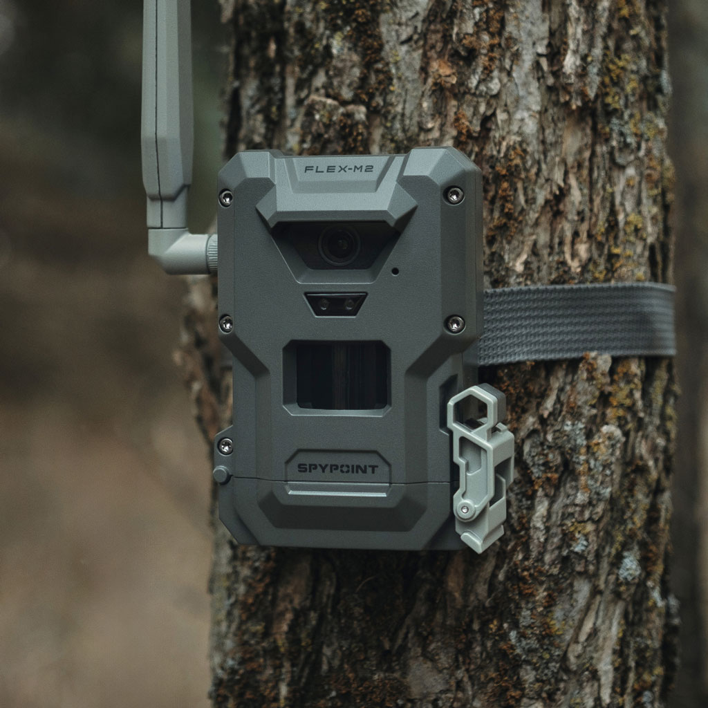 Spypoint FLEX-M2 Trail Camera Twin Pack