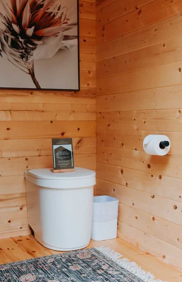 Interior of Cabin Depot Loo Loo House outhouse with wooden walls and modern toilet design.