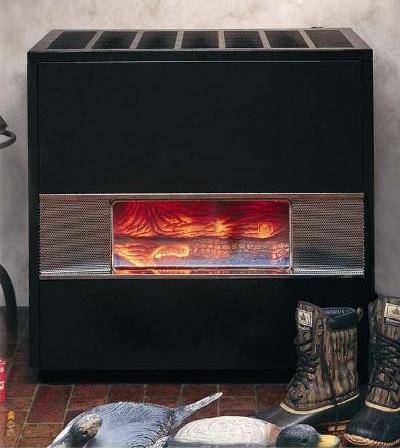 Williams Direct Vent Propane Hearth Heater (RH Series) - Uncategorized by Bismar