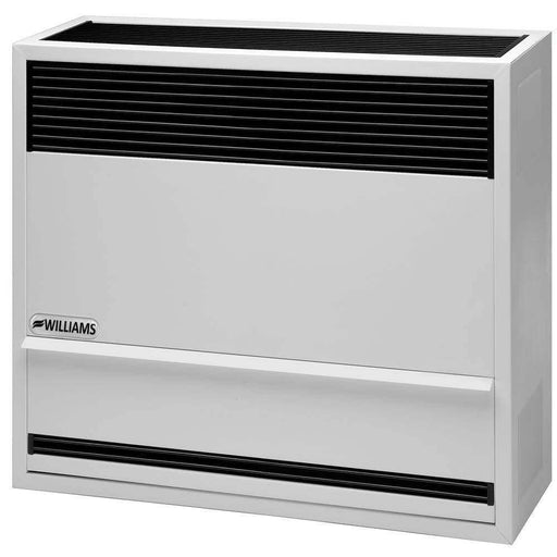 Williams 22,000 BTU Direct Vent Propane Heater - Uncategorized by Bismar