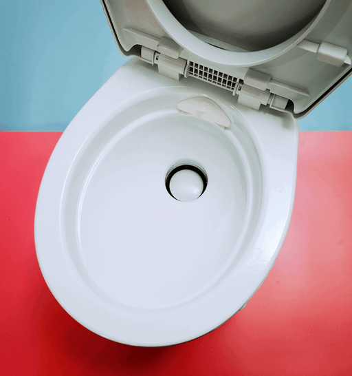 HomeStead Appliance RV Toilet with enamel coating and soft-close lid on a colorful background.