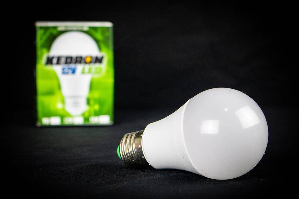 Kedron 12V 15W LED DC Light Bulb - Cool White - by Kedron LED