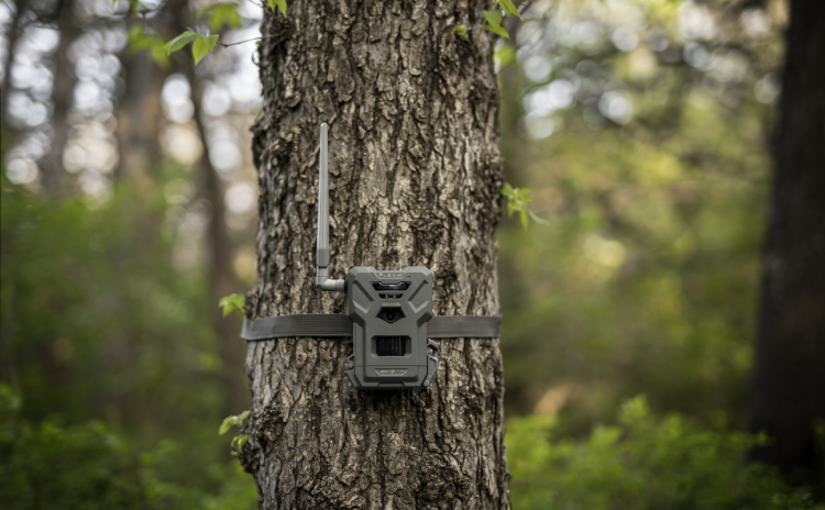 Spypoint Flex-M Cellular Trail Camera