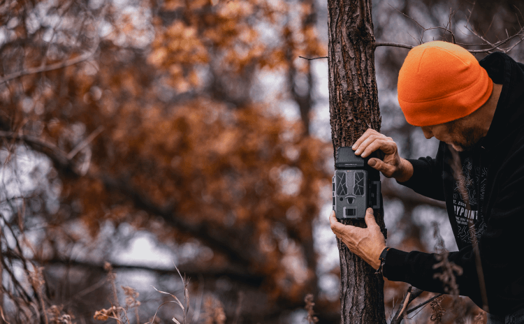 Person setting up Spypoint Force-Pro 2.0 Solar Trail Camera on tree during autumn for wildlife monitoring.