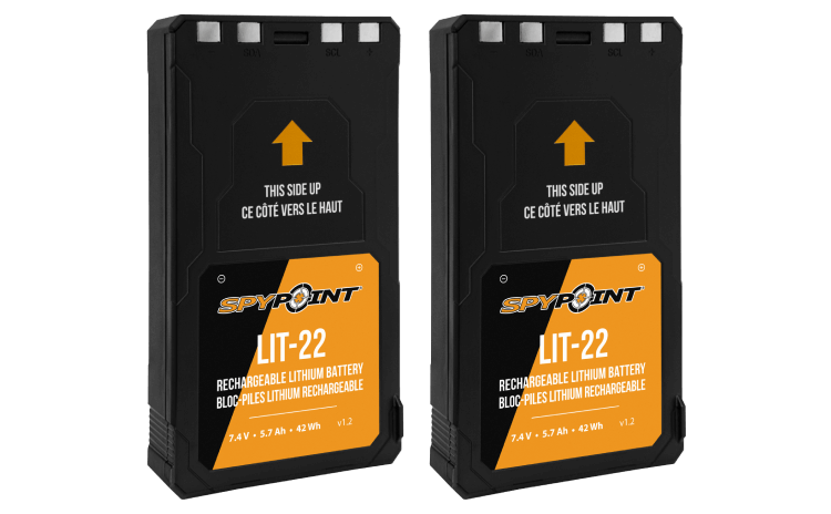 Spypoint LIT-22 twin-pack 7.4V lithium batteries for trail cameras, available at Cabin Depot, extending field time.