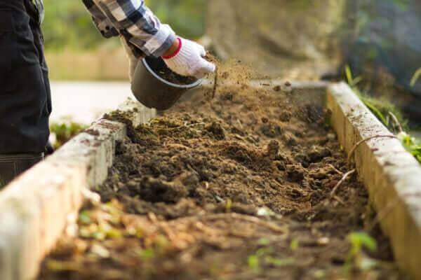 Gardener applying composting medium to soil in raised garden bed for eco-friendly gardening