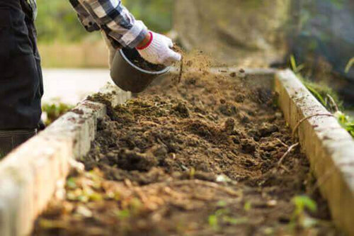 Gardener applying composting medium to soil in raised garden bed for eco-friendly gardening