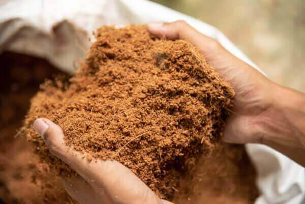 Hands holding OGO Coco Coir Composting Medium, ideal for small composting toilets, available at Cabin Depot in a convenient 6-pack.