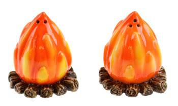 Campfire Salt and Pepper Shakers - by Wilcor