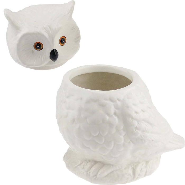 Owl Cookie Jar - Decor by Wilcor