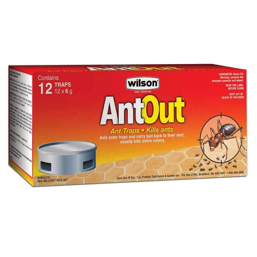 Wilson AntOut Ant Bait Traps 12 Pack from Cabin Depot for indoor/outdoor ant control; traps kill queen & colony effectively.
